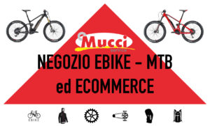 Scopri l'ecommerce